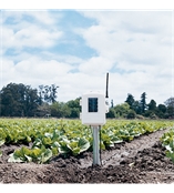 美國Davis 無線土壤溫濕度站06345CS