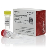 Lipofectamine 3000轉(zhuǎn)染試劑