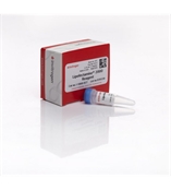 Lipofectamine 2000轉(zhuǎn)染試劑