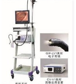 奧林巴斯電子腸胃鏡