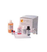 BioChek豬偽狂犬gB（PRV gB）抗體ELISA檢測(cè)試劑盒（480）