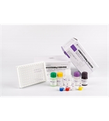 過敏原特異性抗體IgE檢測(cè)試劑盒E-sIgE-XR-1201