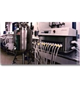 Sepragen純化系統(tǒng)